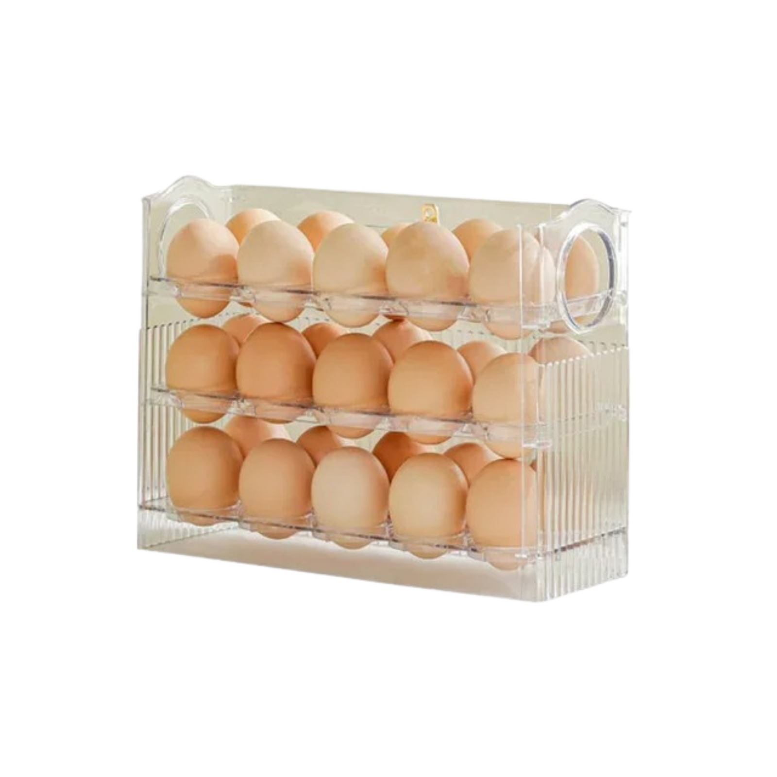 Egg Storage Box