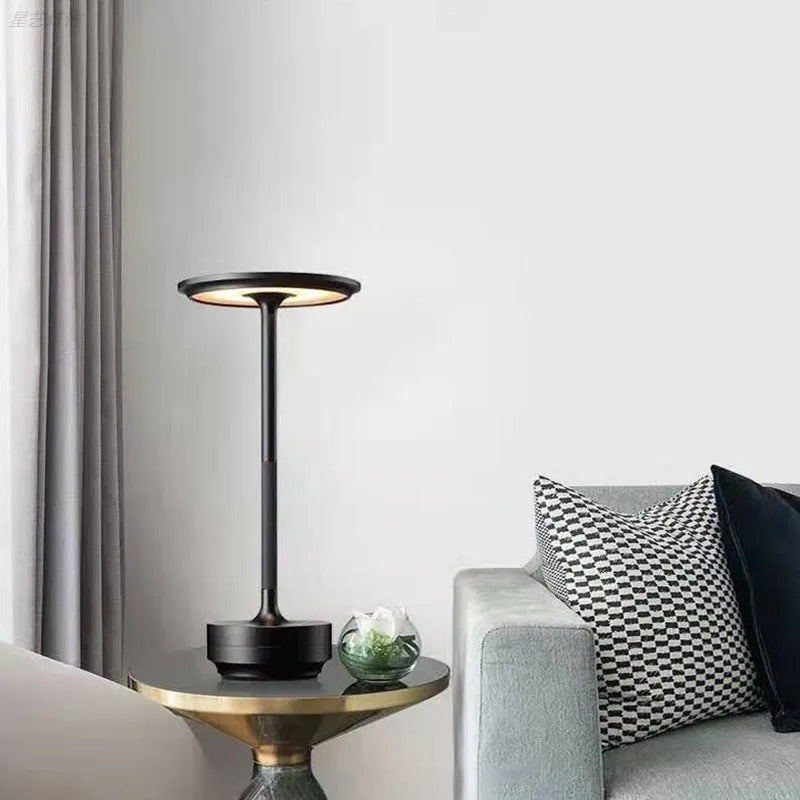 Elegant Luminous Lamp